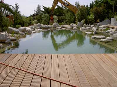 Gr&uuml;nteam - Bildergalerie Schwimmteich