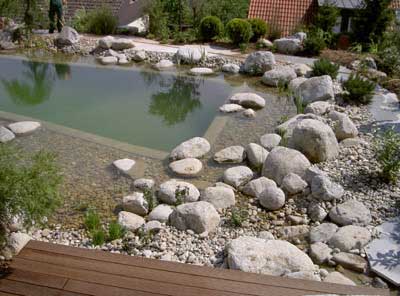 Gr&uuml;nteam - Schwimmteich