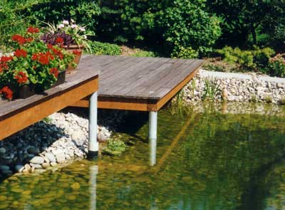 Gr&uuml;nteam - Schwimmteich