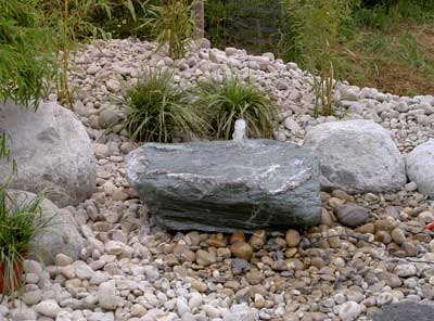 Grünteam - Bildergalerie Wasser