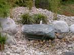 Grünteam - Wasser im Garten