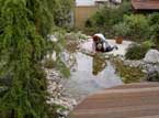 Grünteam - Wasser im Garten